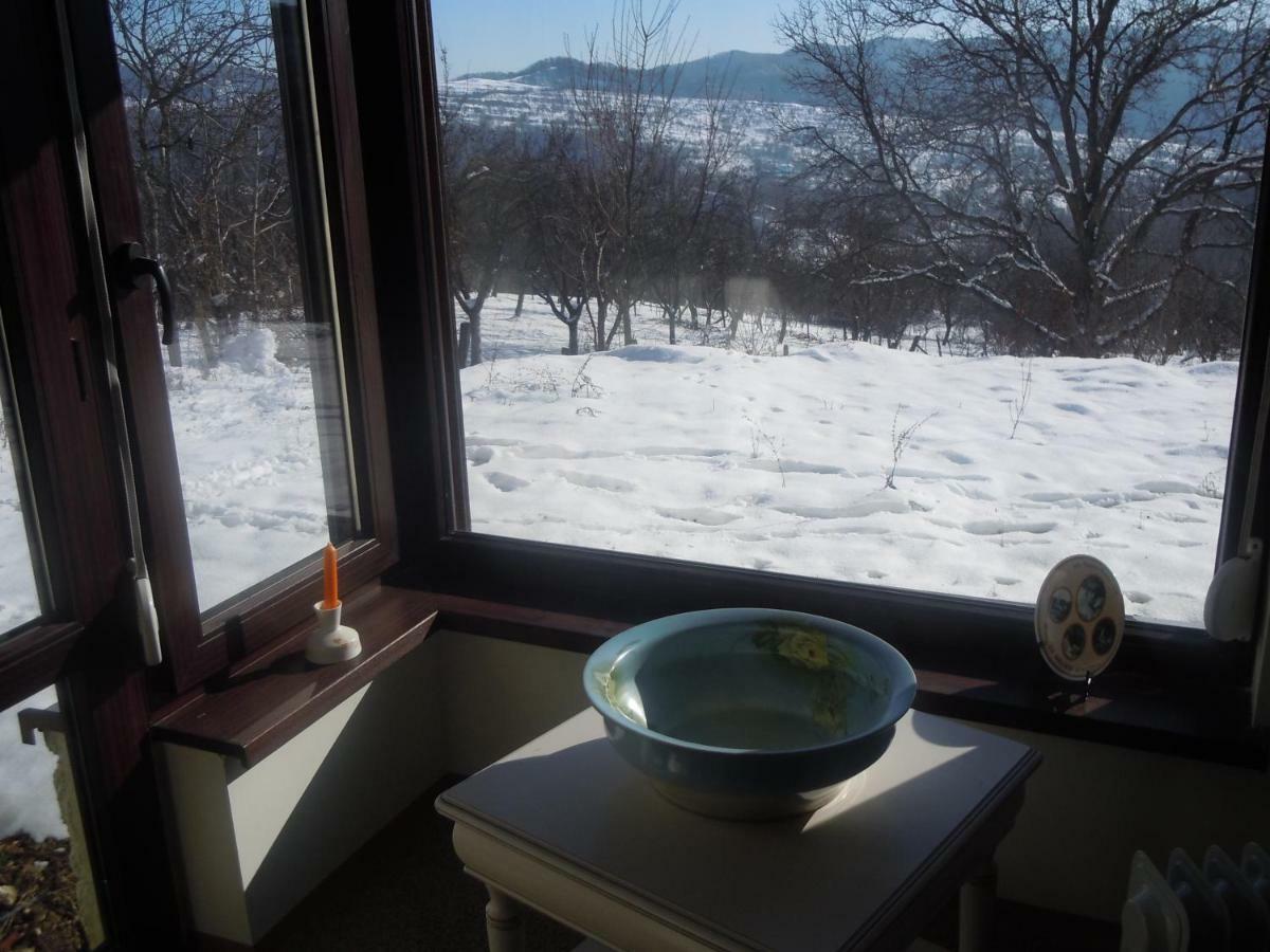 Cottage Poe Poienari Extérieur photo