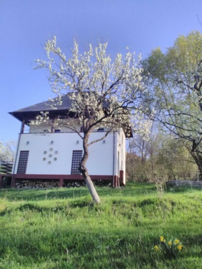 Cottage Poe Poienari Extérieur photo